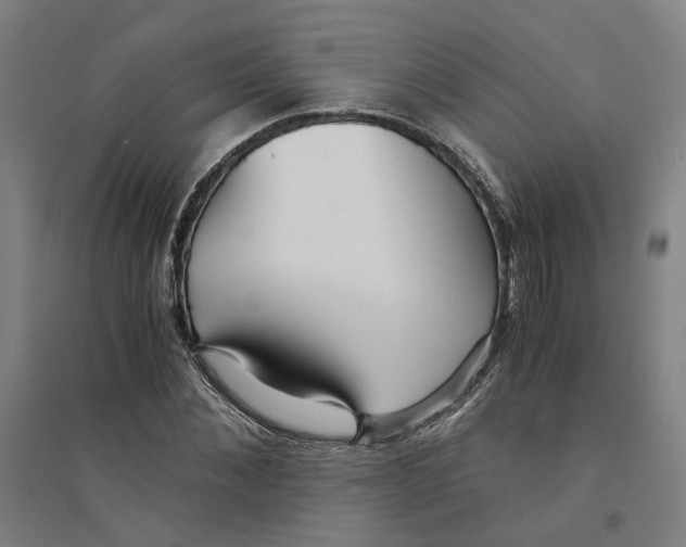 X0000094360876200711301423