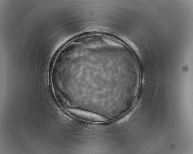 X0000094360877200711301423
