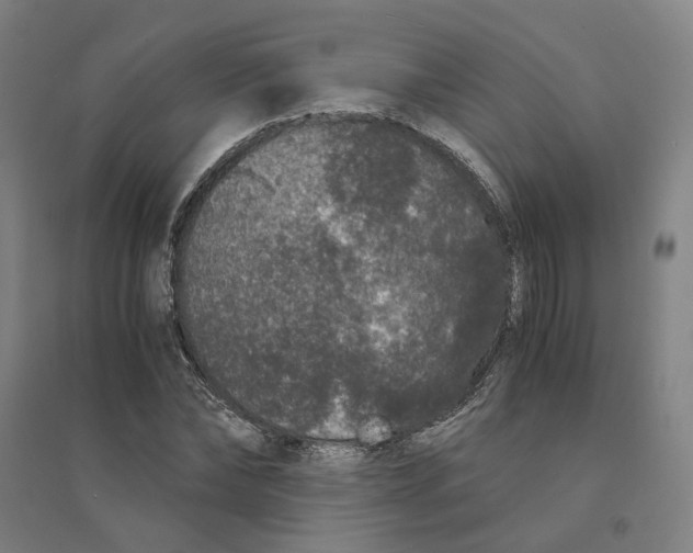 X0000094360878200711301423