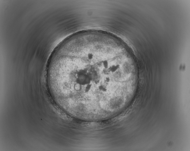 X0000094360879200711301423