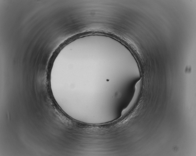 X0000094360880200711301423