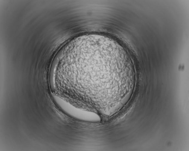 X0000094360881200711301423