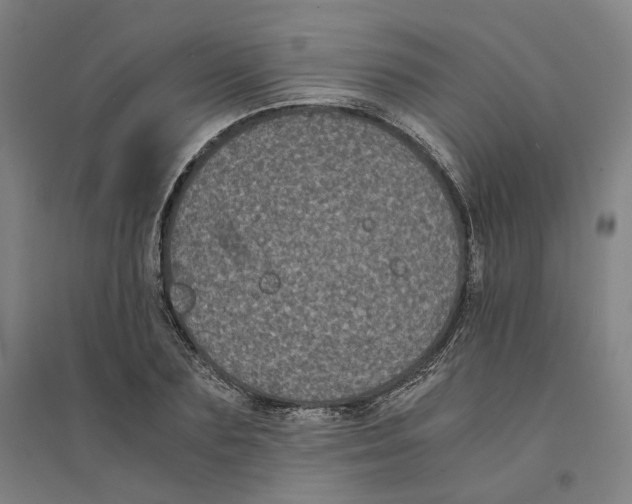 X0000094360883200711301422