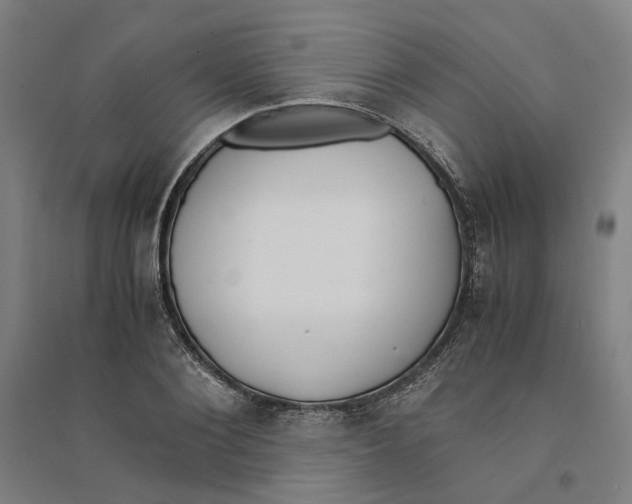 X0000094360884200711301422