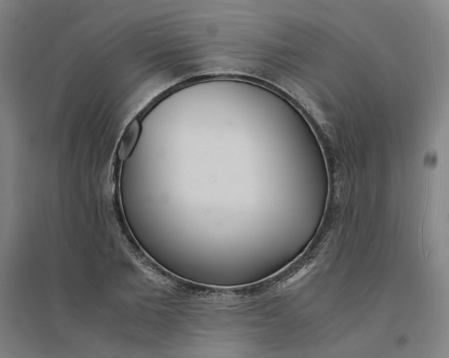 X0000094360885200711301422