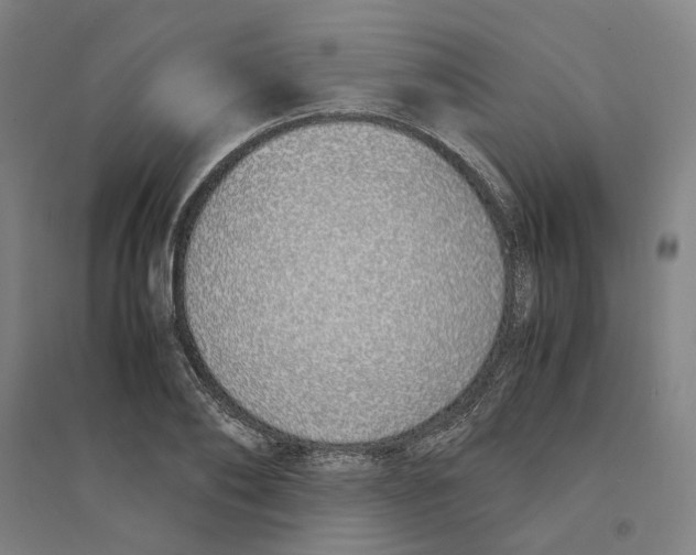 X0000094360886200711301422