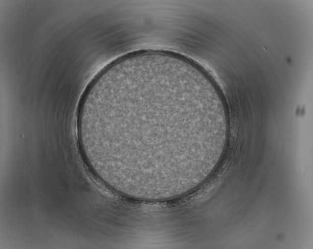 X0000094360887200711301422