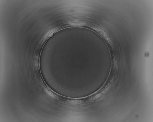 X0000094360889200711301422
