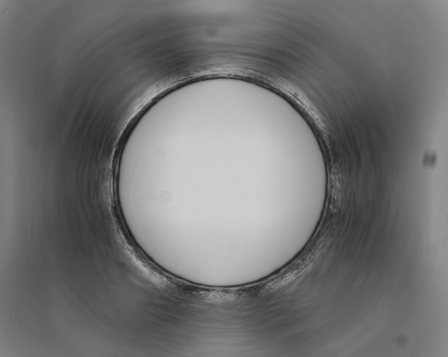 X0000094360890200711301422