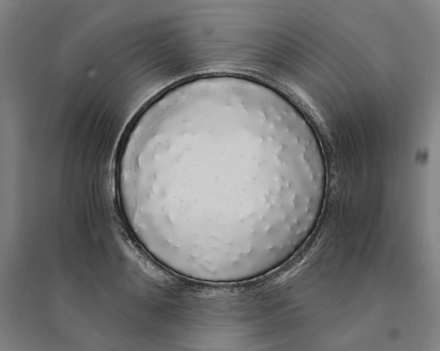 X0000094360892200711301422
