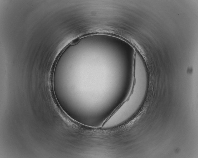 X0000094360893200711301422