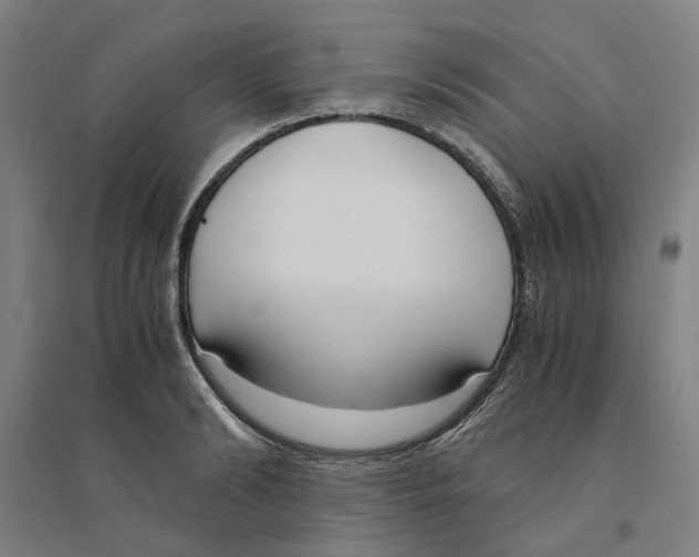 X0000094360894200711301422
