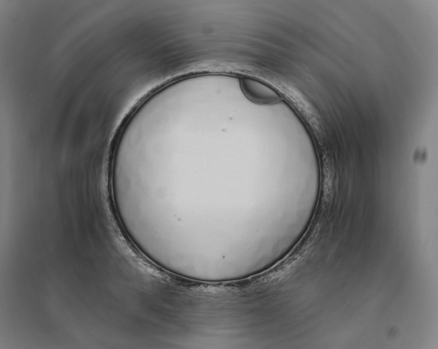 X0000094360896200711301422
