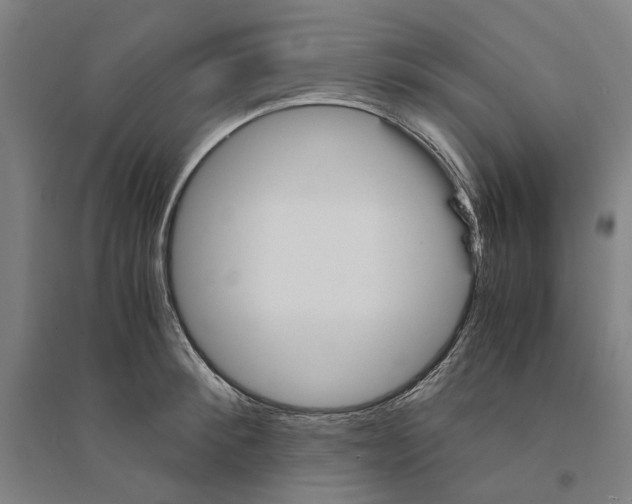 X0000094360900200711301422
