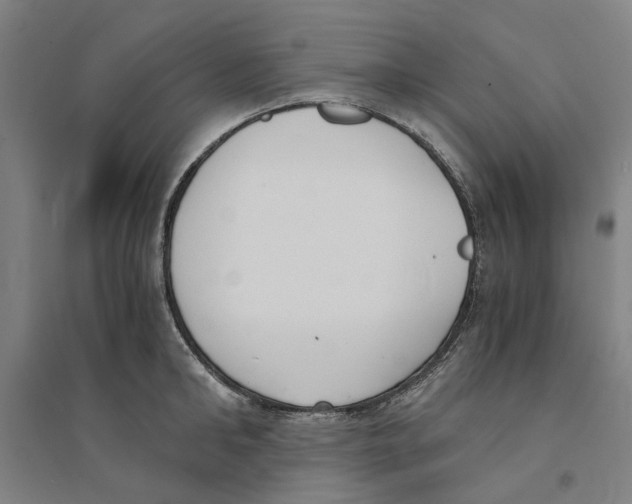 X0000094360902200711301422
