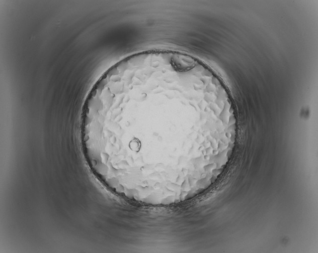 X0000094360903200711301422
