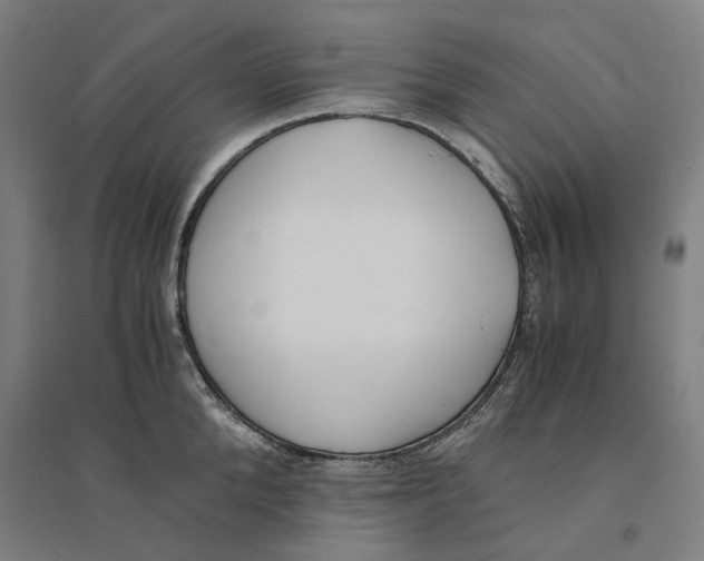 X0000094360904200711301422