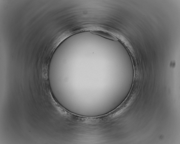 X0000094360905200711301422