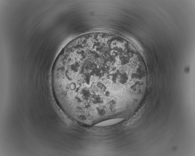 X0000094360907200711301422