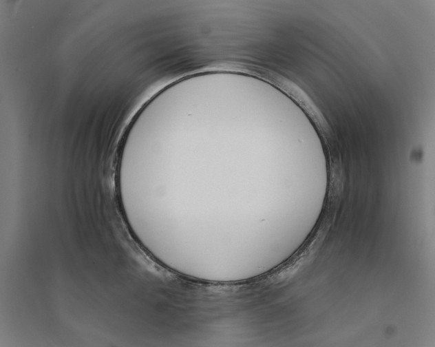 X0000094360908200711301422