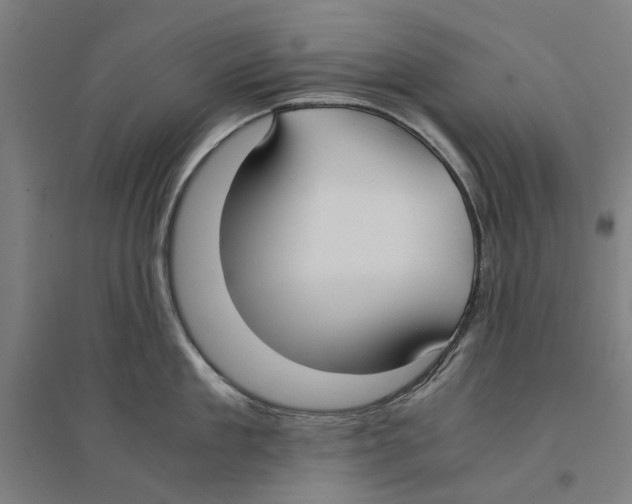 X0000094360909200711301422