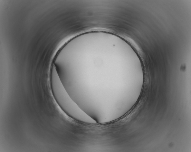 X0000094360910200711301422