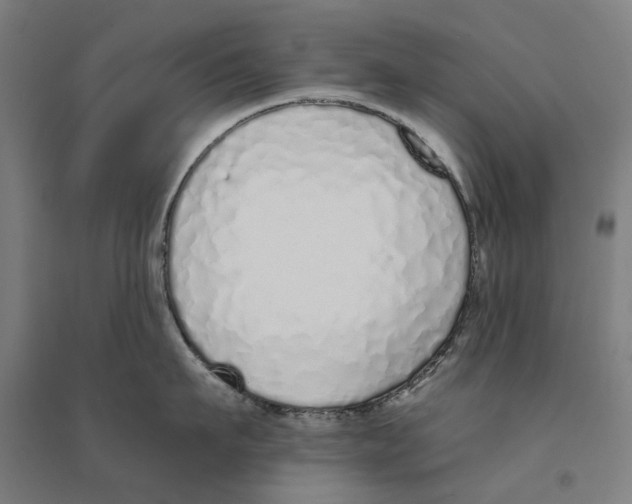 X0000094360911200711301422