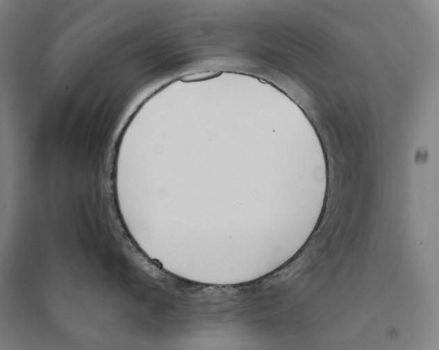 X0000094360912200711301422