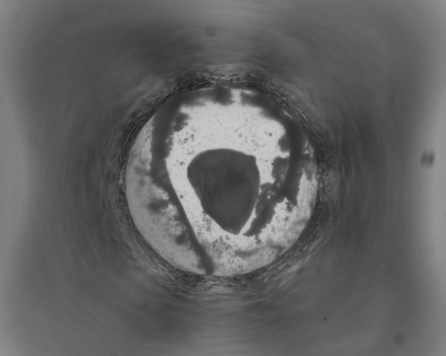 X0000094360913200711301421