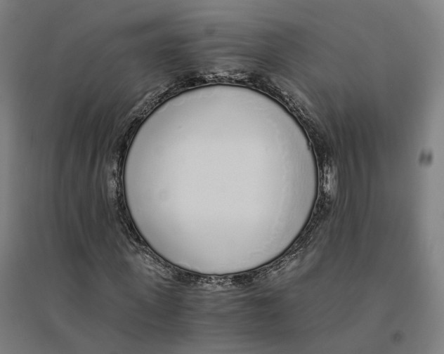 X0000094360915200711301421