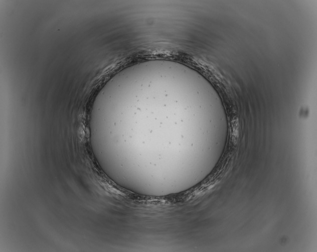 X0000094360916200711301421