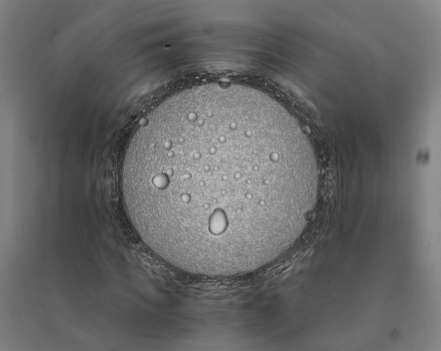 X0000094360917200711301421