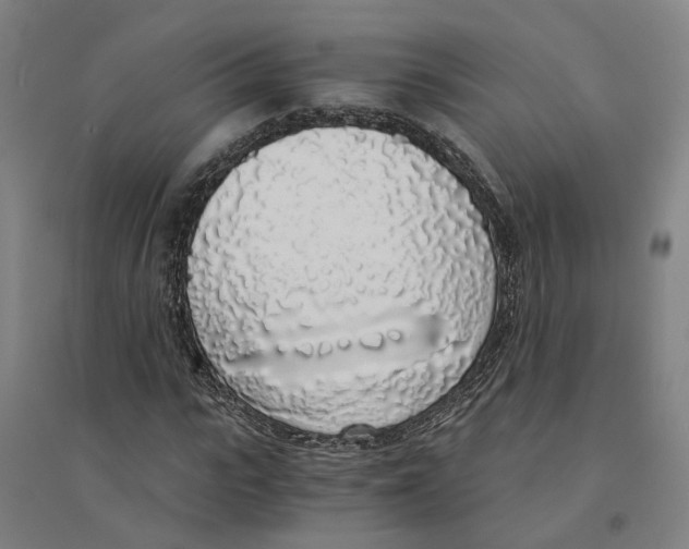 X0000094360919200711301421