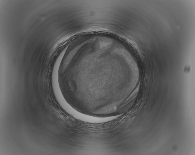 X0000094360920200711301422