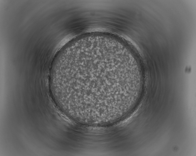 X0000094360921200711301422