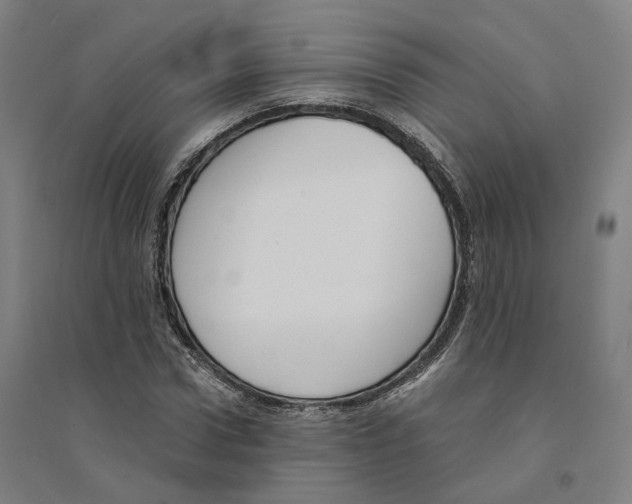 X0000094360922200711301422