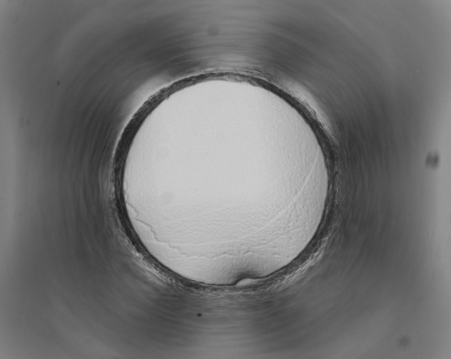 X0000094360924200711301422