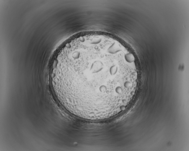 X0000094360925200711301422