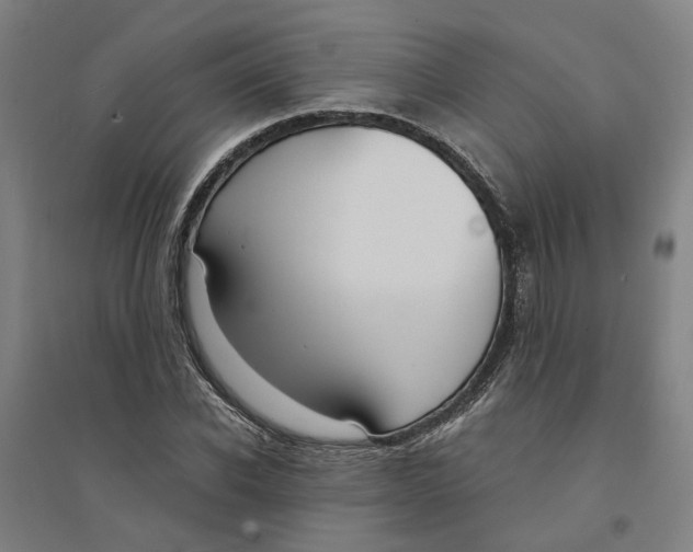 X0000094360926200711301422