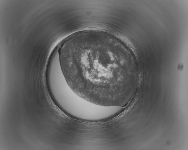 X0000094360928200711301422