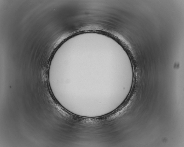 X0000094360929200711301422