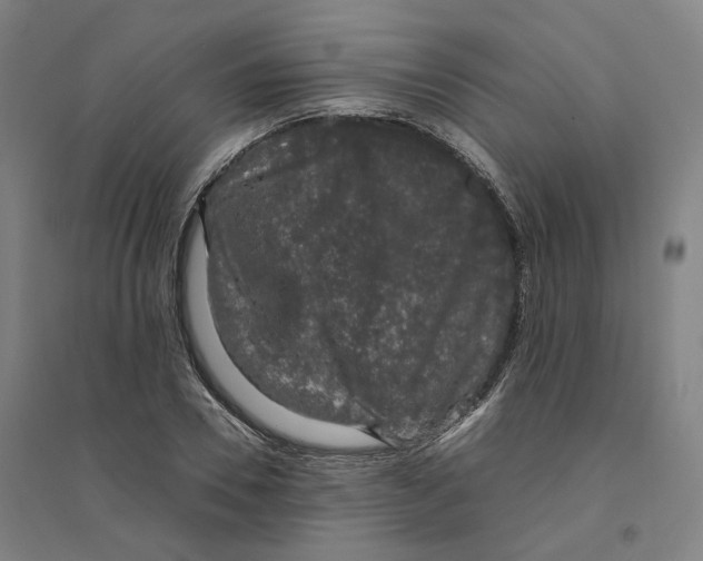 X0000094360930200711301422