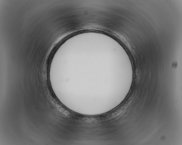 X0000094360931200711301422
