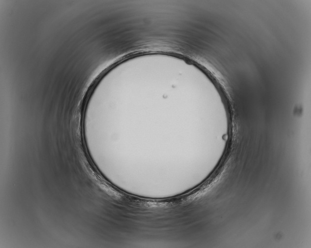 X0000094360933200711301422