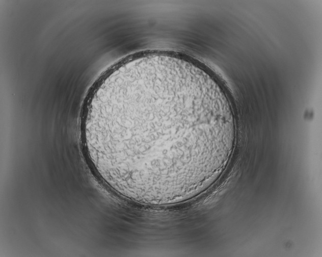 X0000094360935200711301422