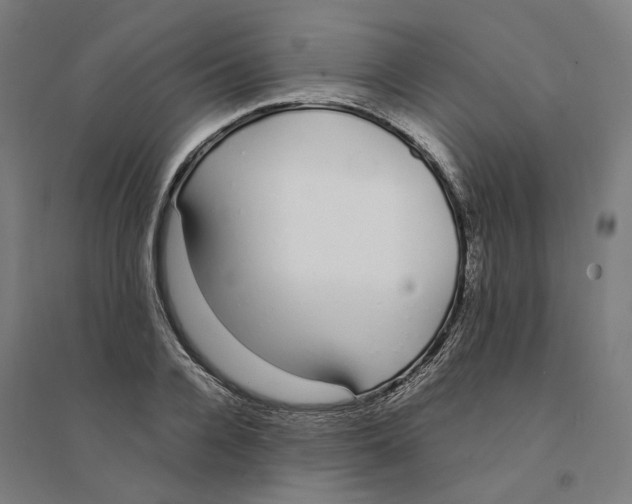 X0000094360936200711301422