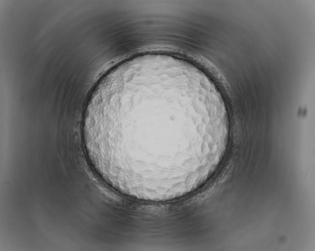X0000094360937200711301422