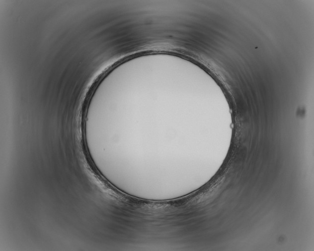X0000094360939200711301422