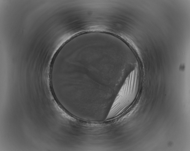 X0000094360941200711301422
