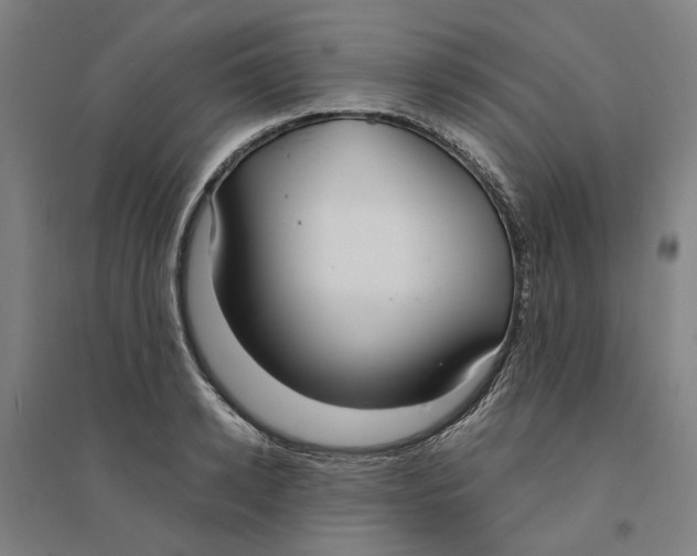 X0000094360942200711301422